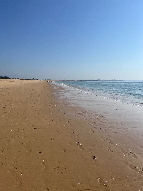 Rustige strandlijn met zacht golvend water onder een heldere blauwe lucht, symbool voor ontspanning en ruimte.