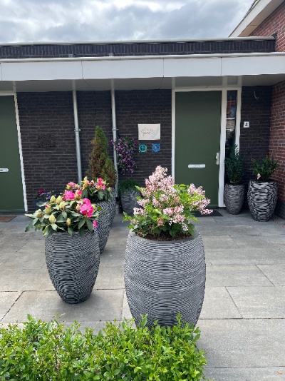 Healing Me Traject, voor volwassenen en kinderen.